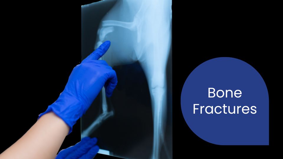 Sandringham Veterinary Hospital is your partner for advanced bone fracture repair